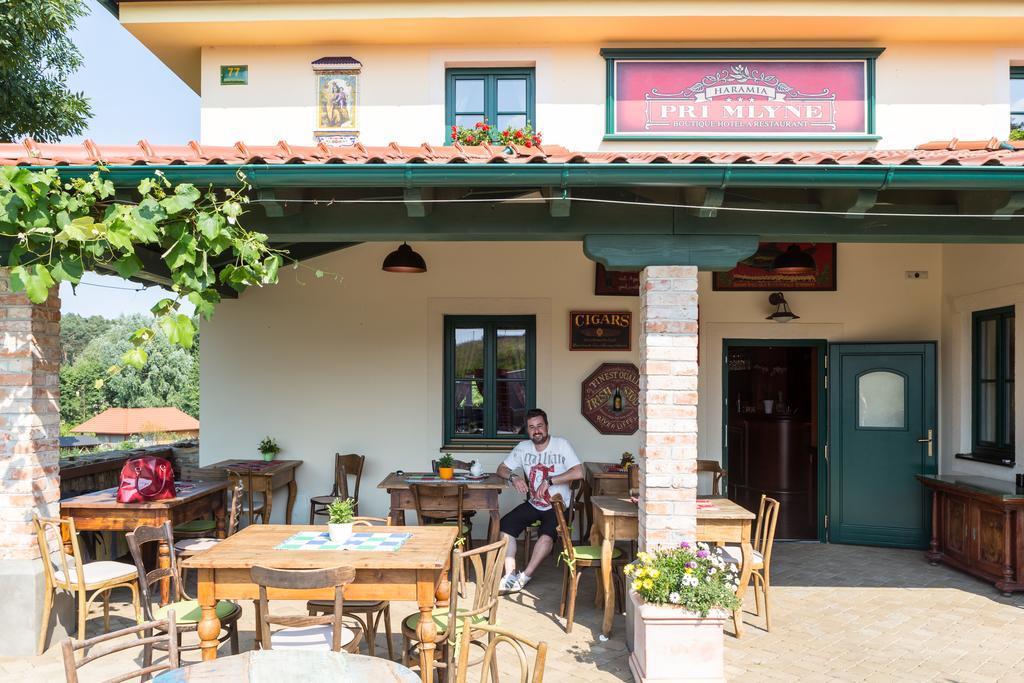 Szálloda Boutique Pri Mlyne Lozornó